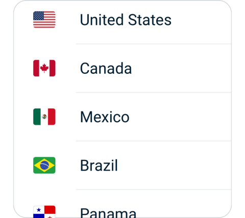 FeiyuVPN connect step 2, choose VPN server location